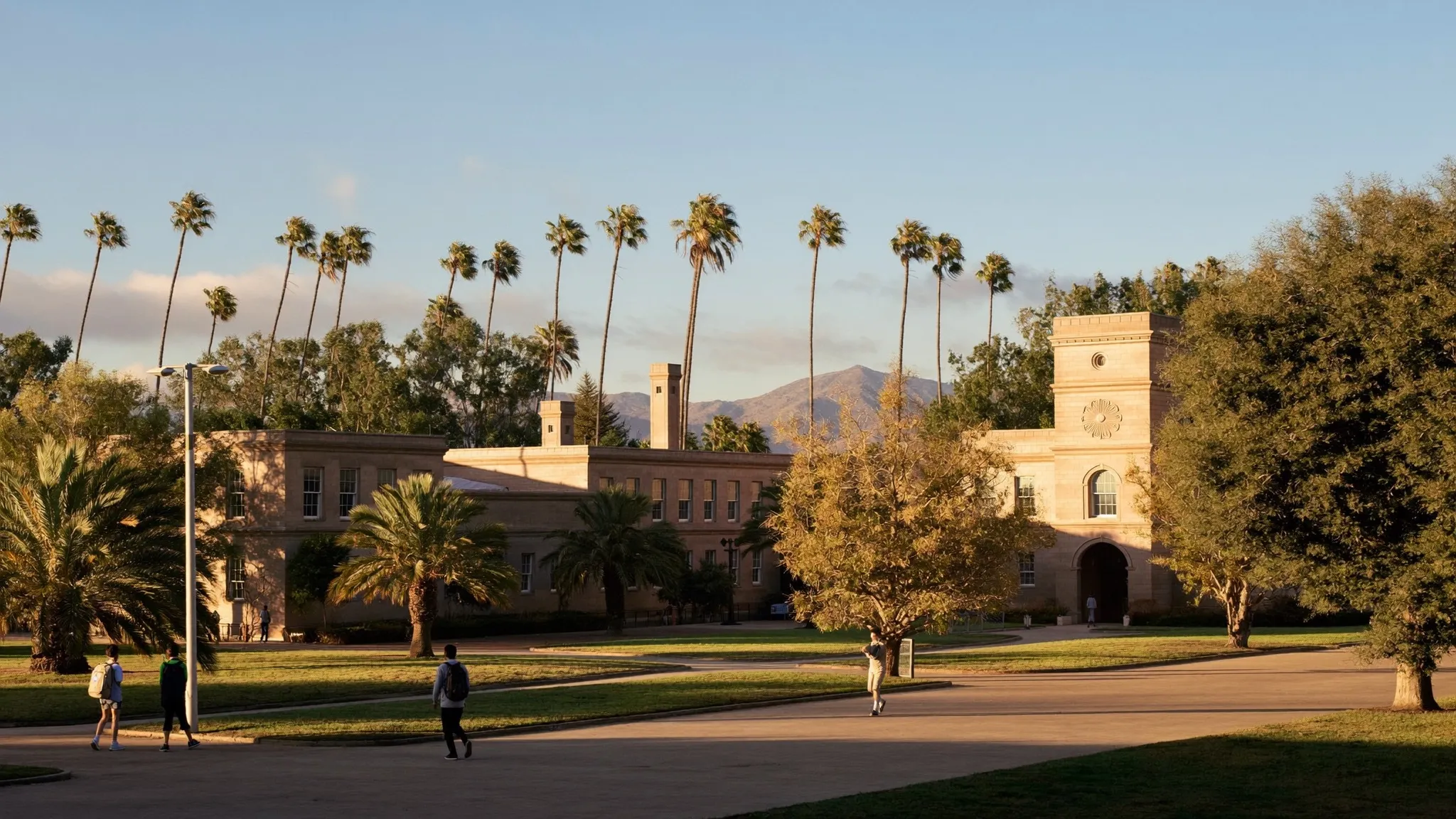 Sun-washed California university campus with palm trees in the morning